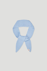 Haylin Knit Scarf Windsurfer image